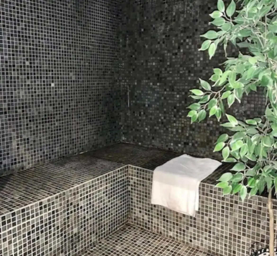 Appartement avec Piscine Intérieure Centre Village Saint Lary